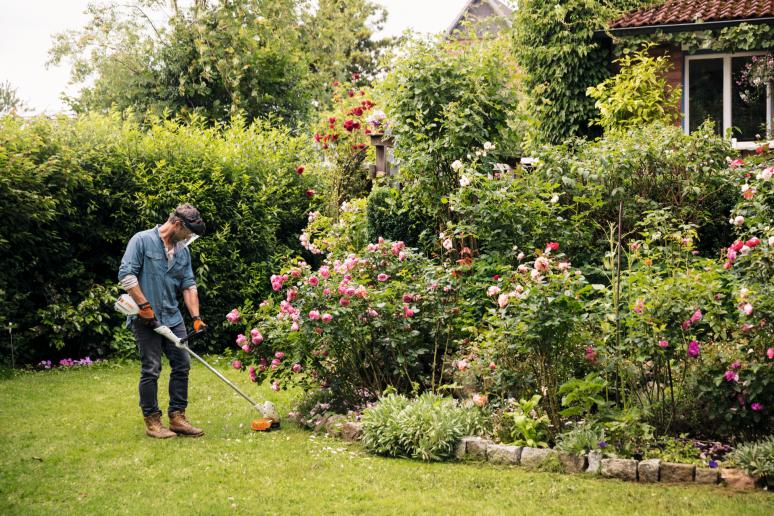 débroussailleuse jardin