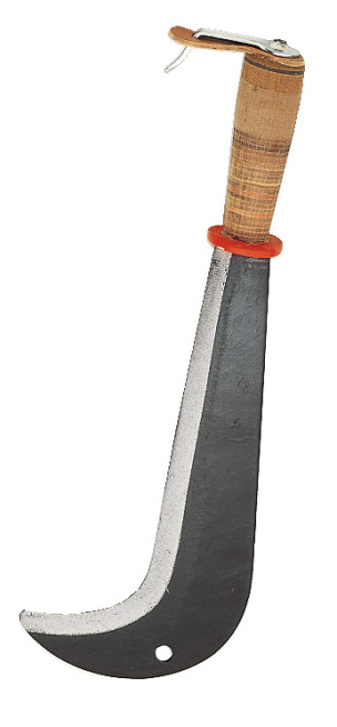 Zwitsers kapmes, 43 cm